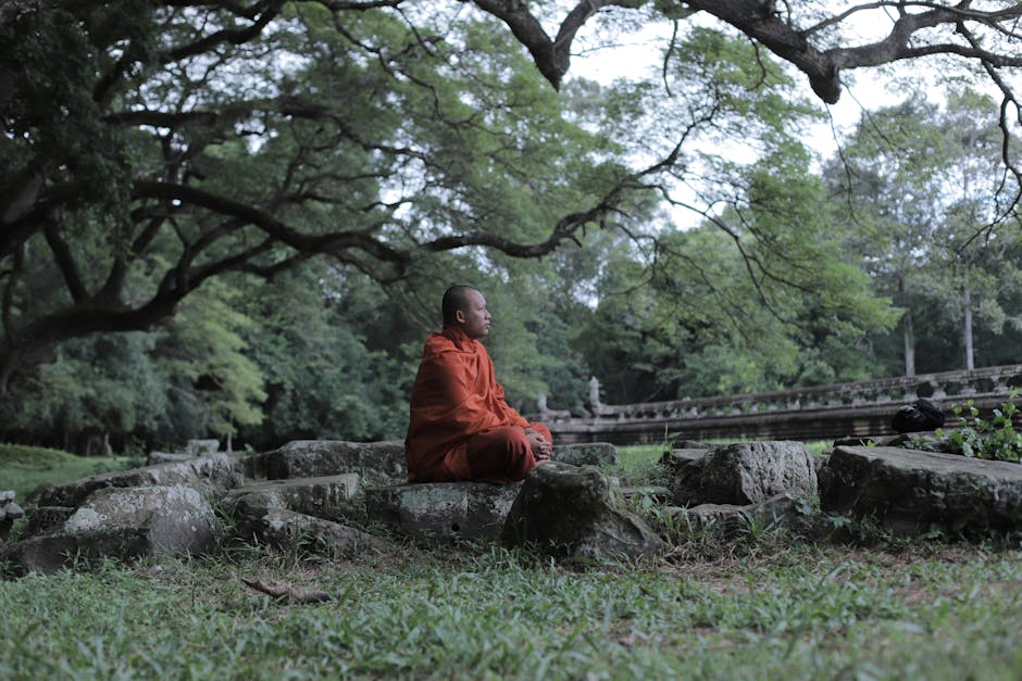 A serene scene of a monk meditating in a lush forest setting in Cambodia.