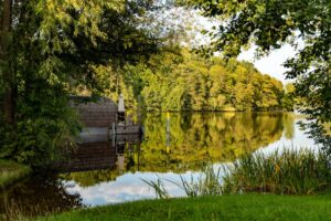 Serene lakeside view featuring a wooden sauna, lush forest, and clear water reflections.