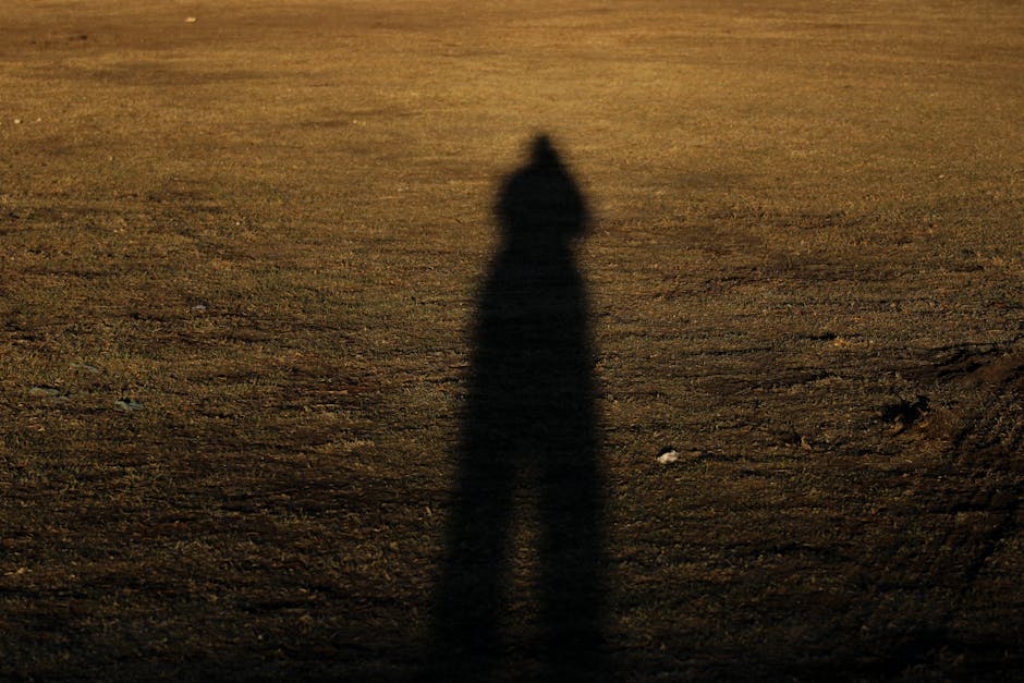 Dark silhouette shadow cast on a golden field creates a mysterious and intriguing scene.