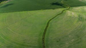 Aerial view of green circular irrigated fields depicting modern farming techniques.