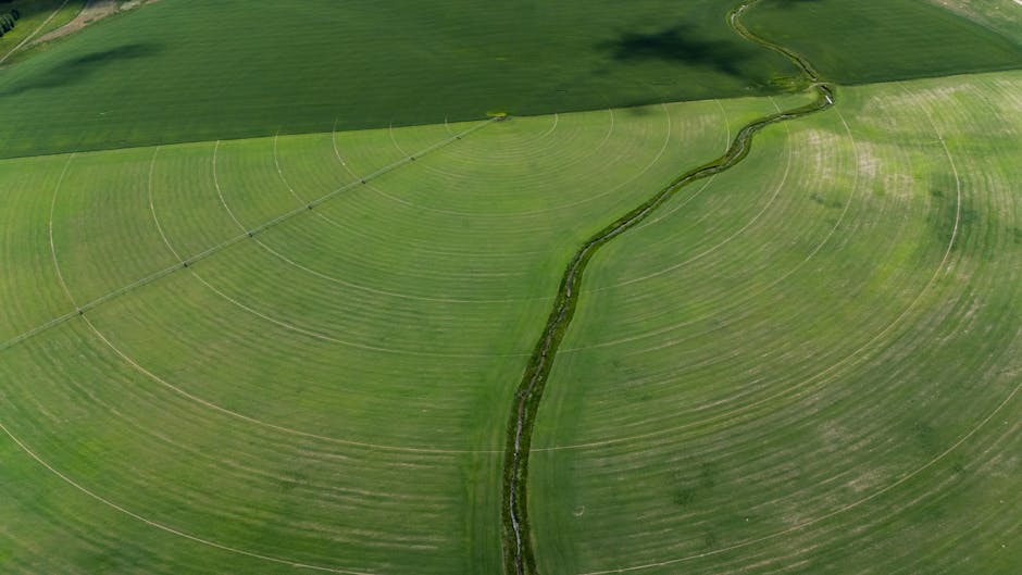 Aerial view of green circular irrigated fields depicting modern farming techniques.