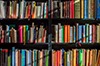 Reviews / Bücher