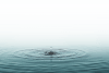 Wassertropfen
